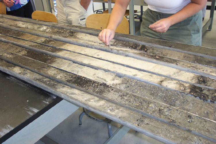 Photograph: Sediment core from Tampa Bay records environmental changes related to climate and sea-level change.
